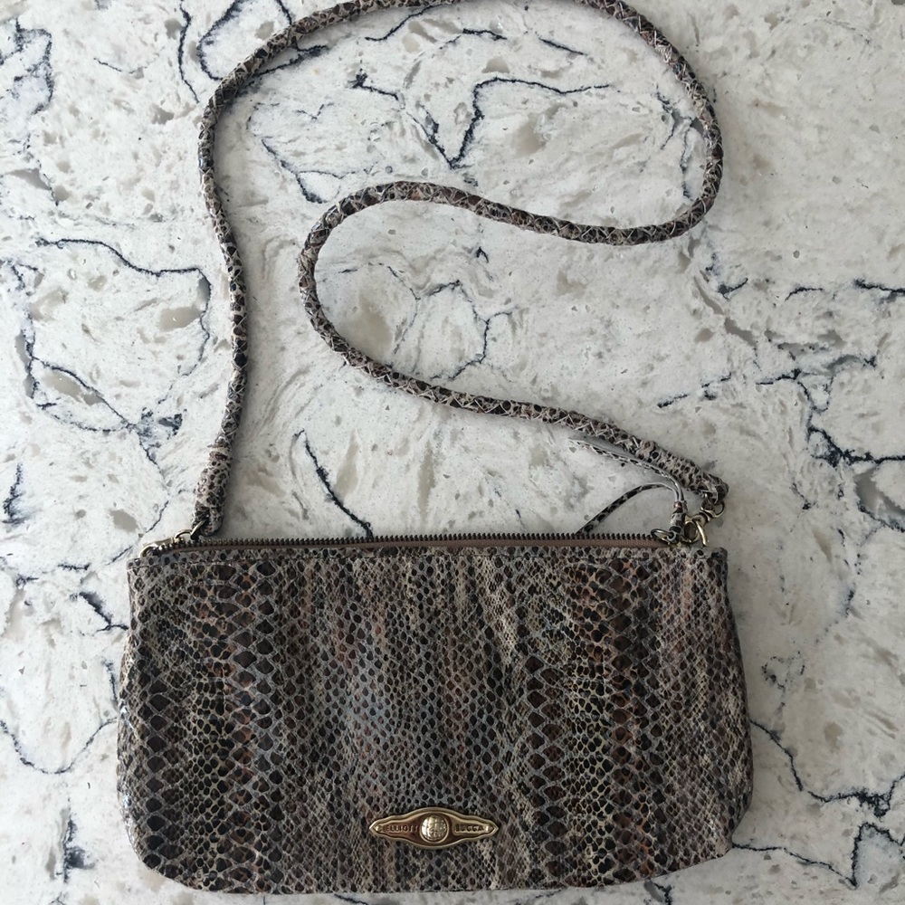 Elliott Luca Snakeskin Crossbody Bag